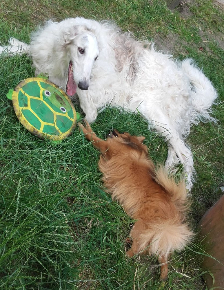 Igor und Polle, nach dem Spiel, mit der Frisbee-Scheibe