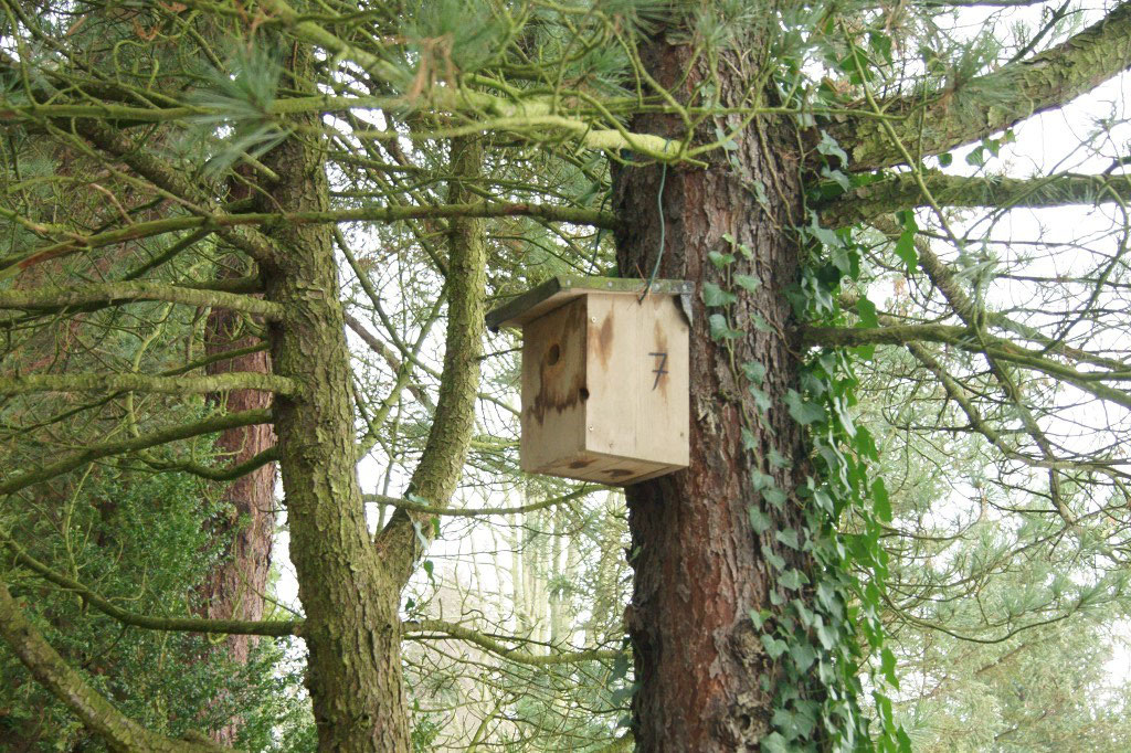  Auf dem Friedhof Kleinzschocher betreut der NABU beispielsweise viele Vogelnisthilfen...