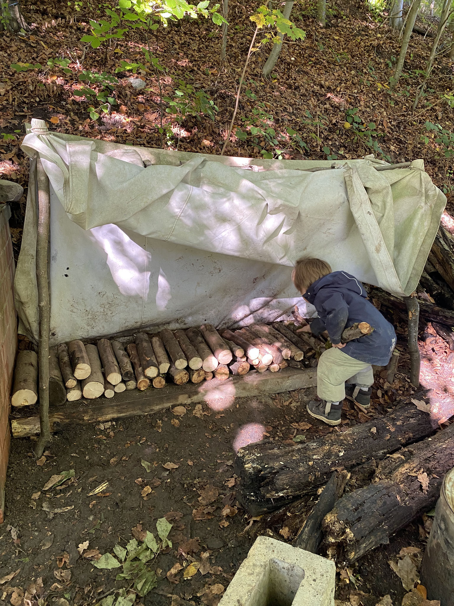 Nos réserves de bois sont collectées - Unsere Holzvorräte werden gesammelt