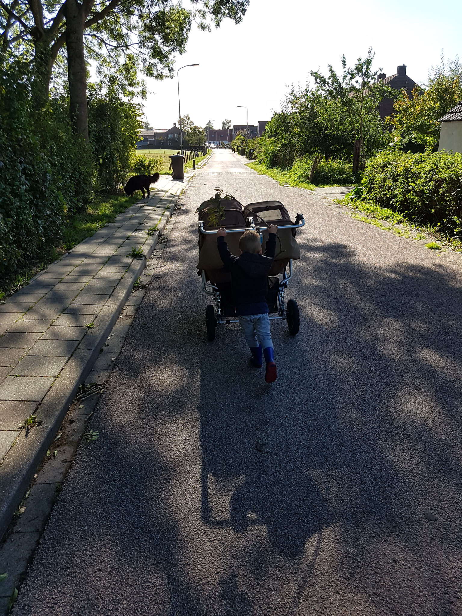 Rondje wandelen in Buurmalsen