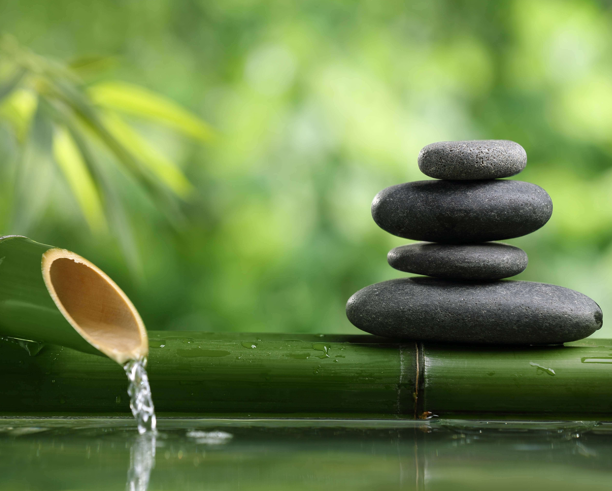 CURSO DE AUTOCONSCIENCIA PARA EL BIENESTAR, GRABADO, 12 HRS.