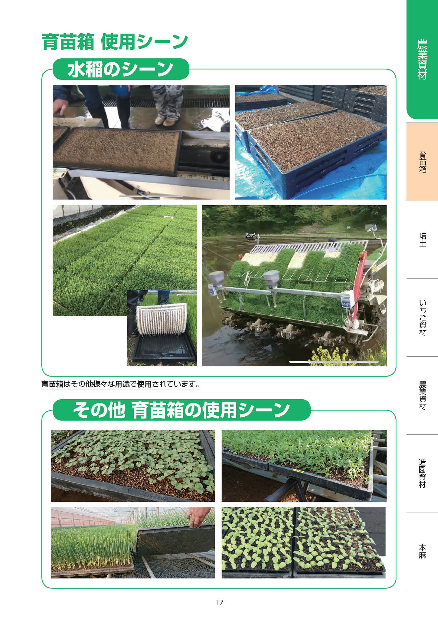 育苗箱の使用は稲だけにあらず！シーズン以外は他の植物を育てることも！？