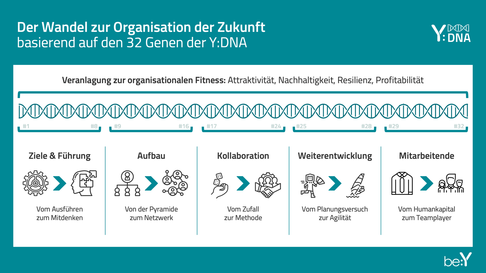 Die 32 Gene