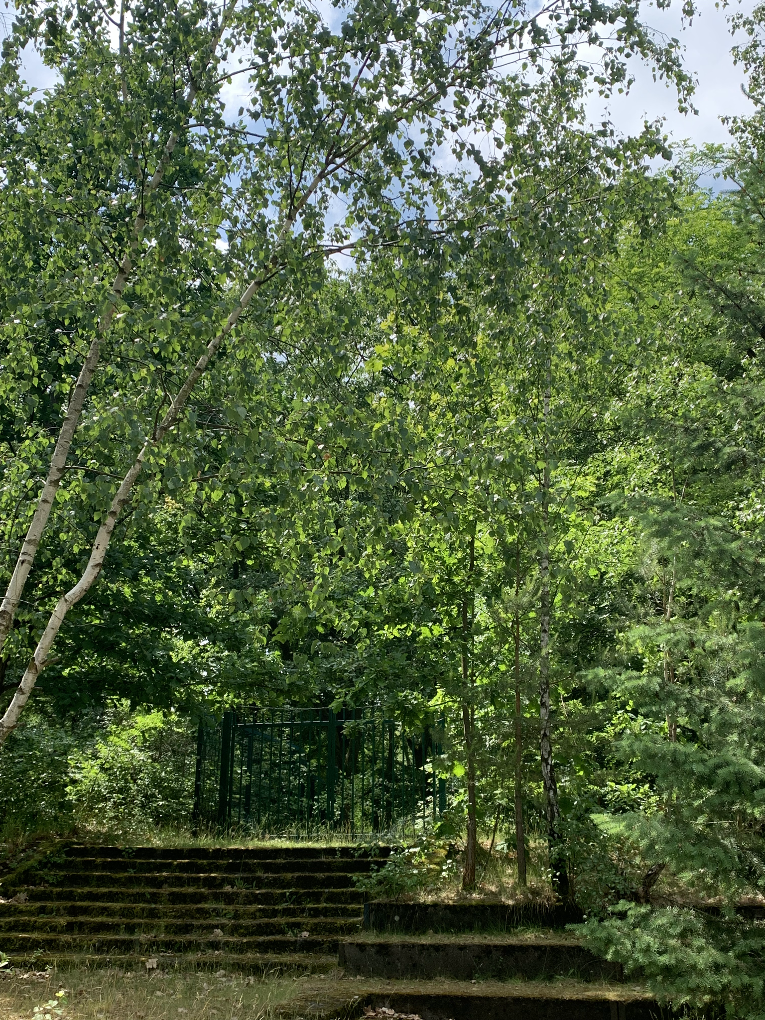 Outdoor Escape Room Kids im Modellpark Berlin