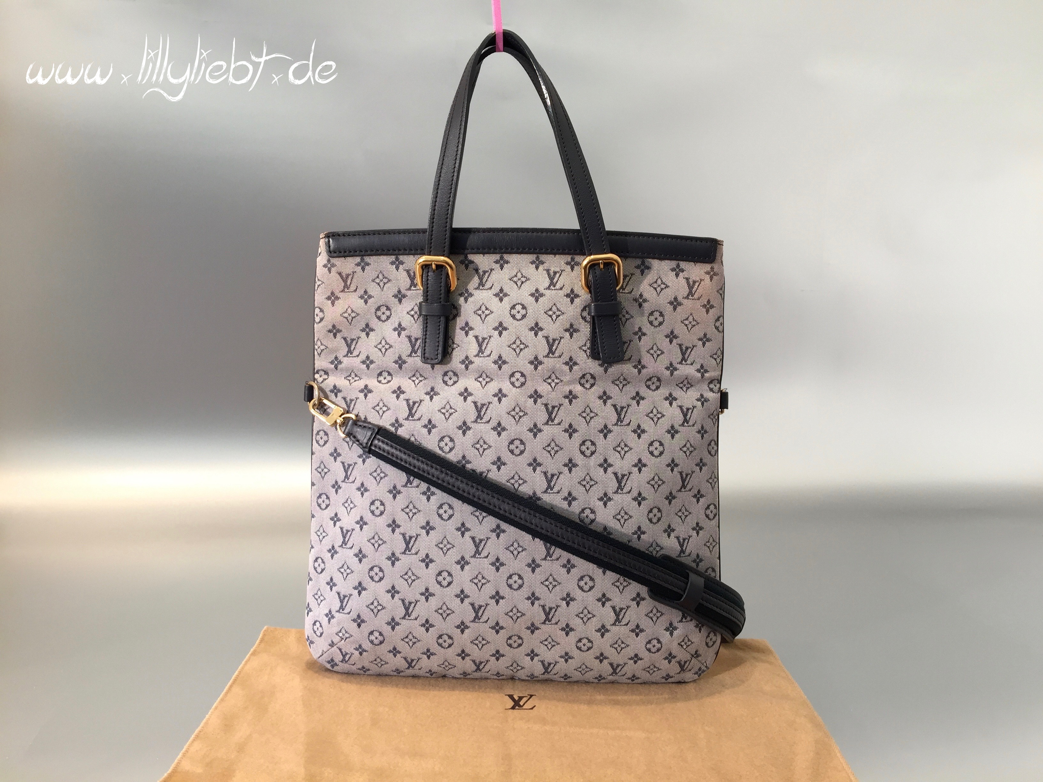 Louis Vuitton Monogram Mini Lin Francoise