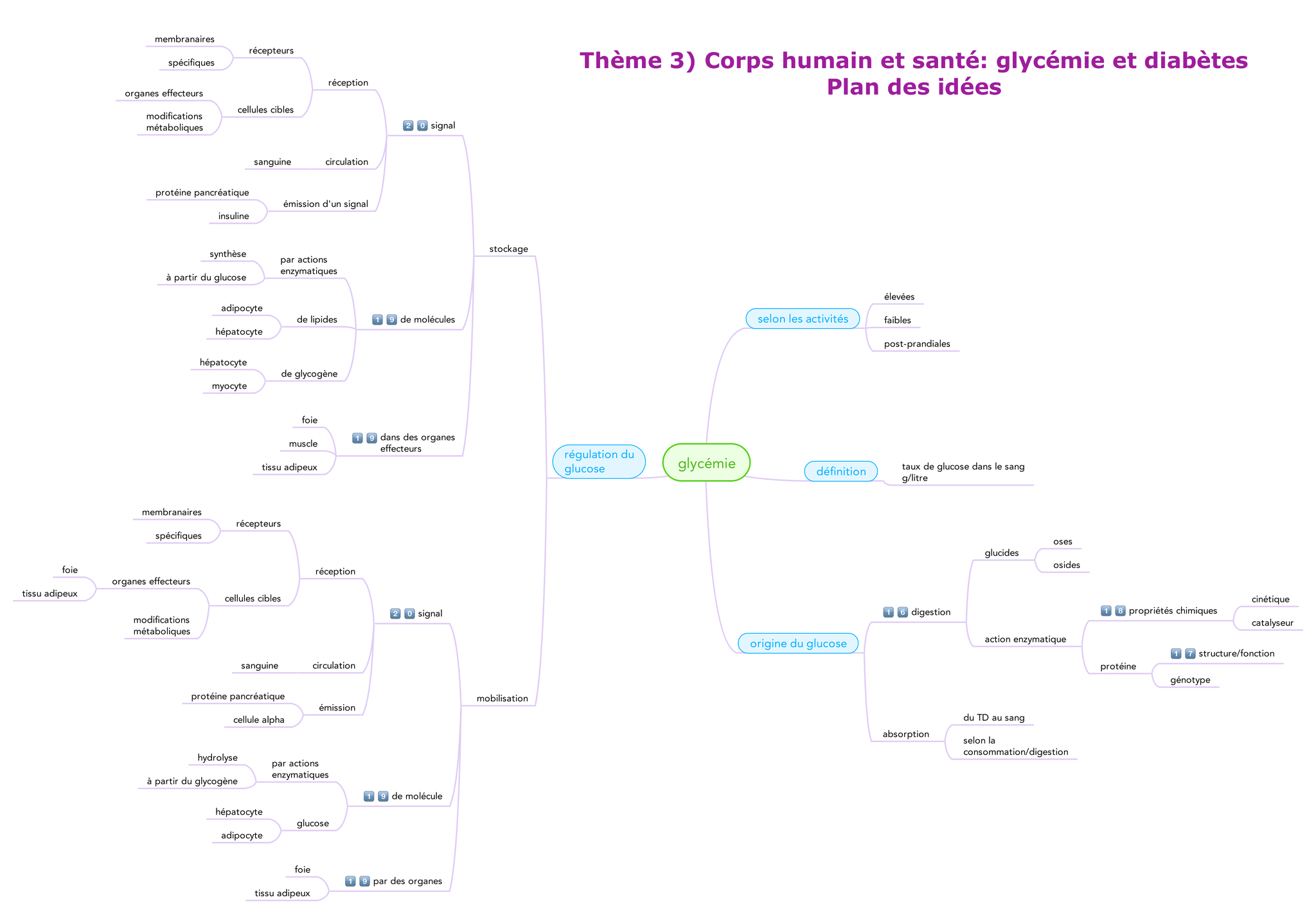 plan des idées pour le thème 3. On lira le mind-map dans le sens horaire.