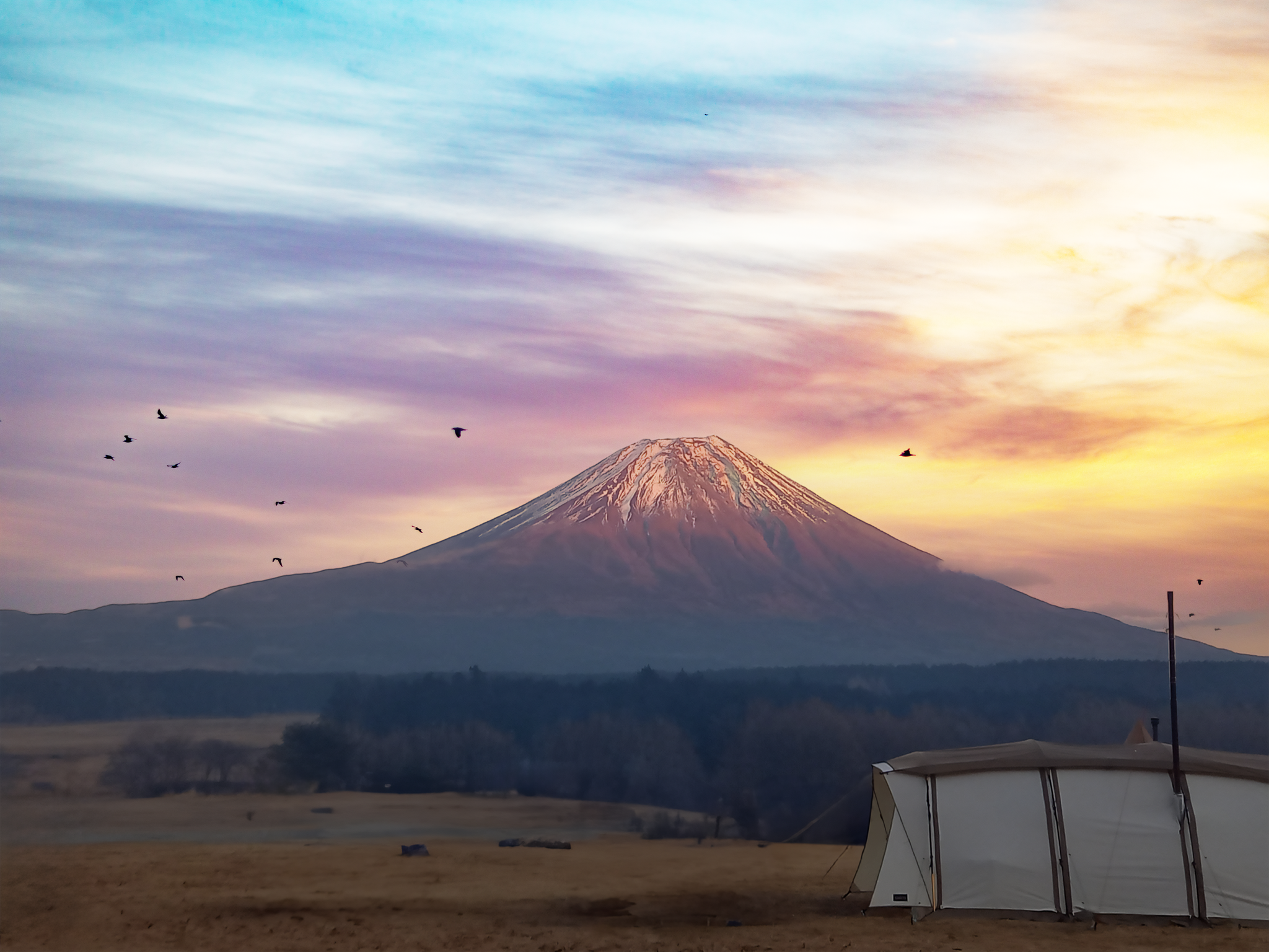 h１ 富士山キャンプ4枚