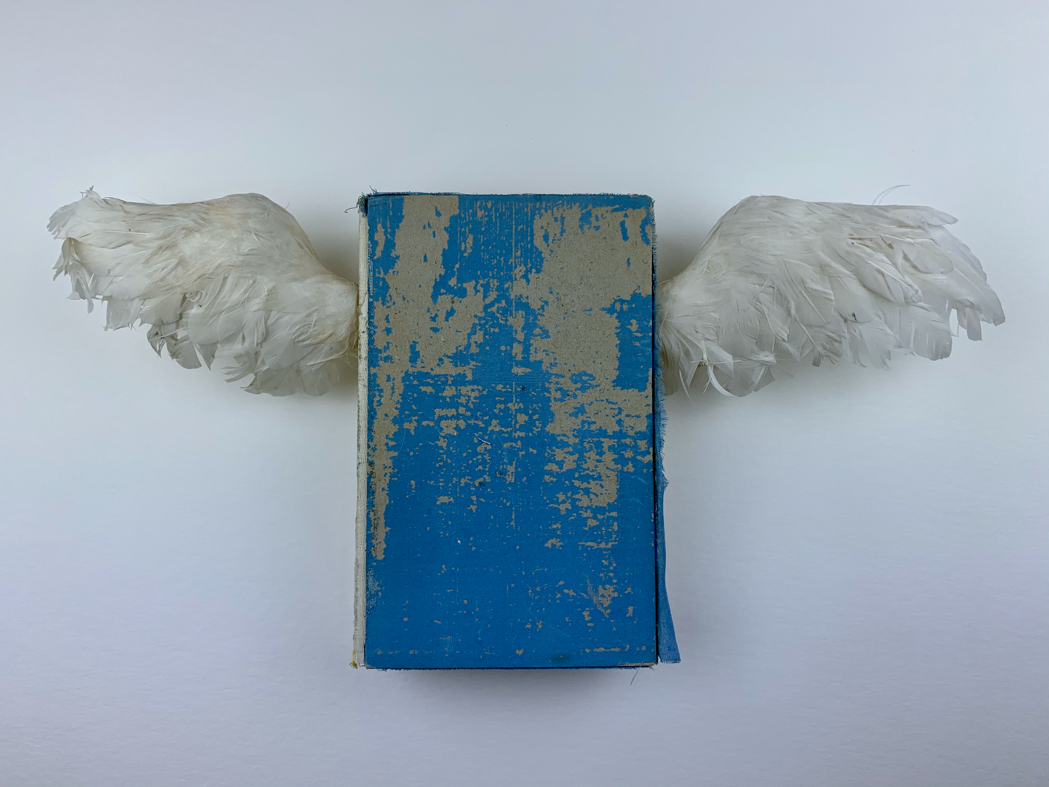 flügelbuch | federn antiquar. buch | 22x48x5cm | 2019