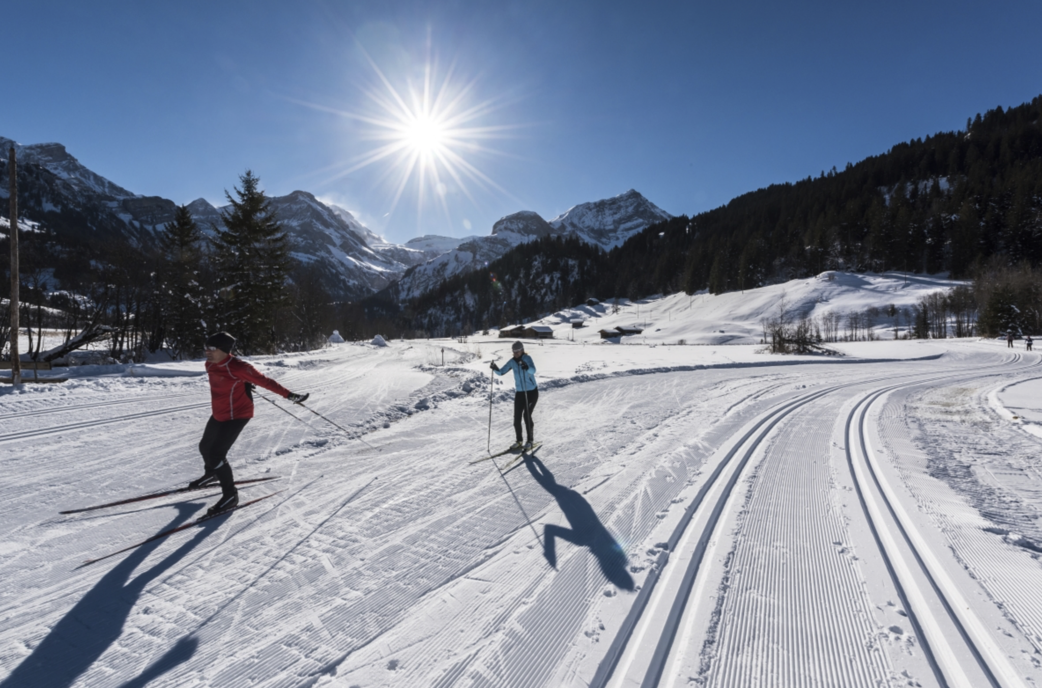 Лыжники панорама. Лыжные гонки природа горы. Бегущий лыжник. Cross country ski