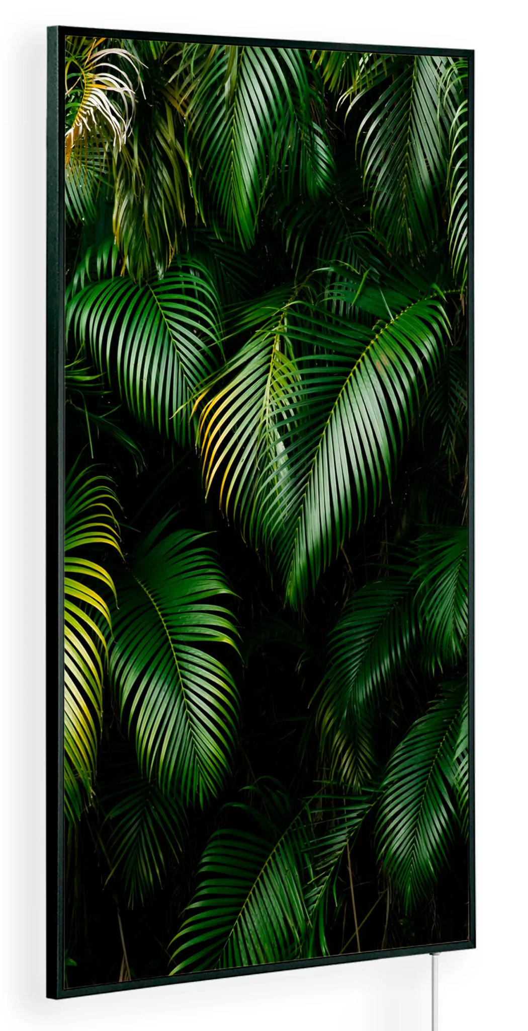 Tropic