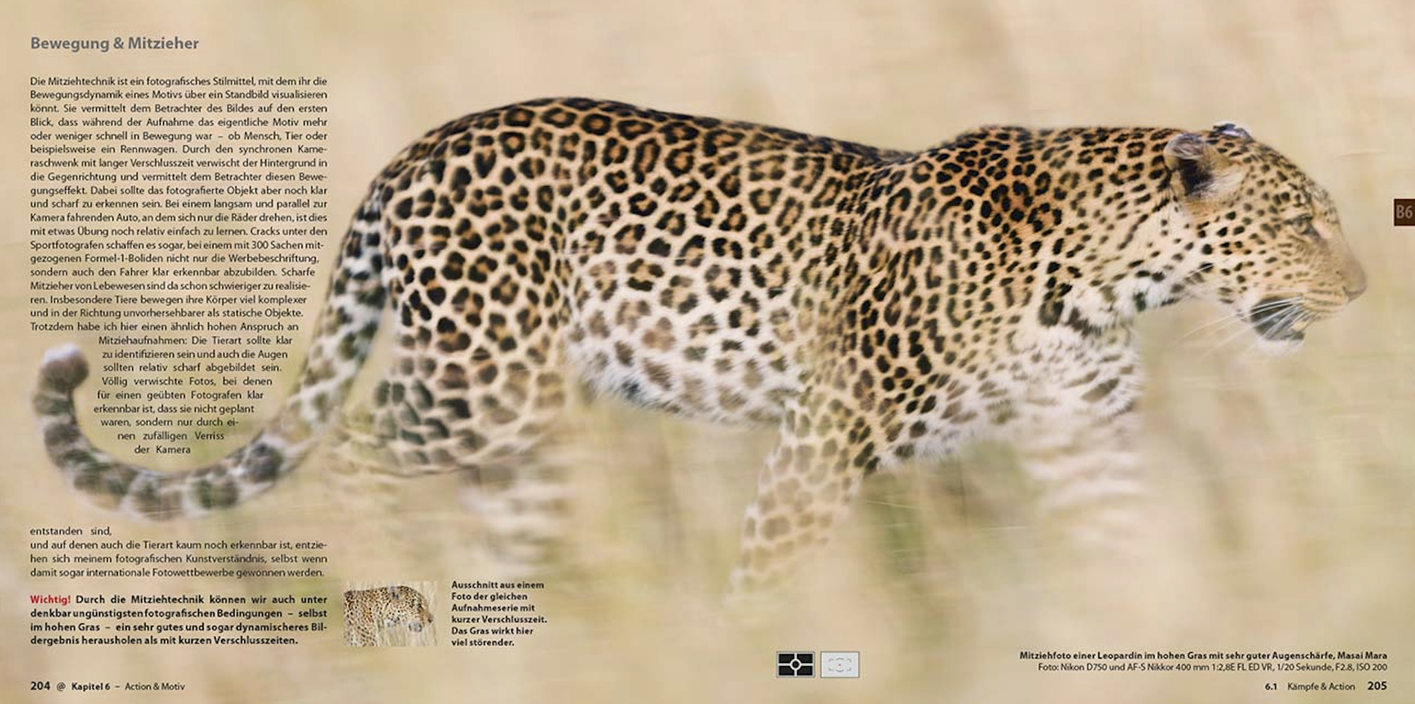 Abenteuer Safari Fotografie, demipress Verlag