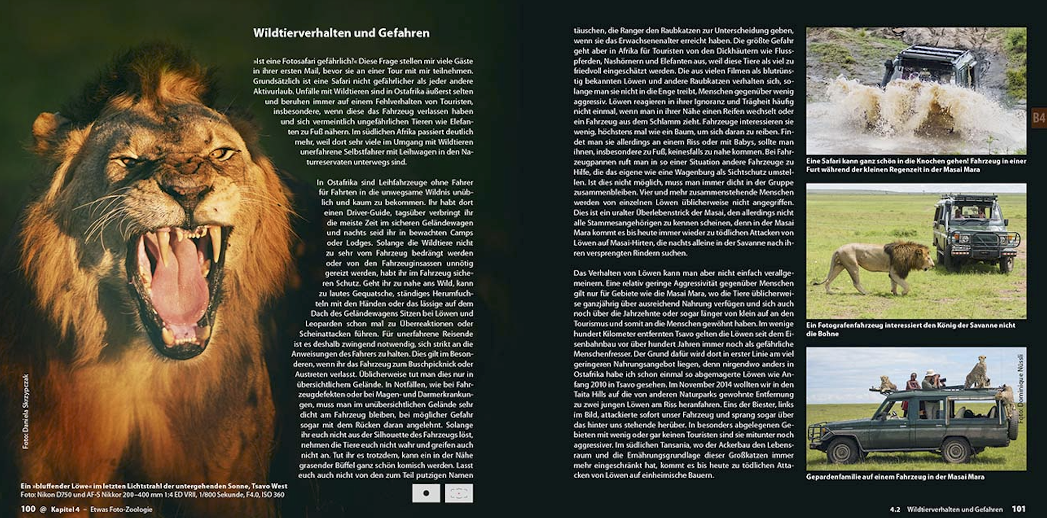 Abenteuer Safari Fotografie, demipress Verlag