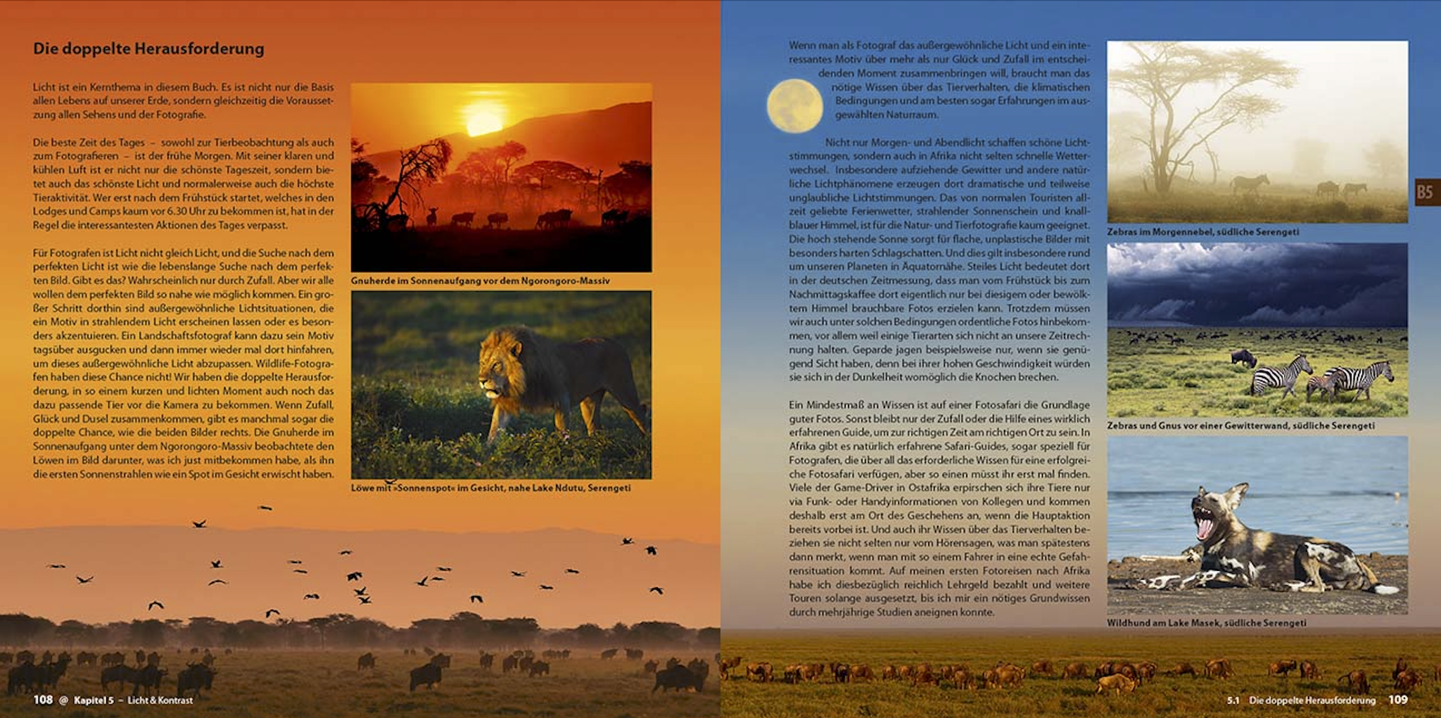 Abenteuer Safari Fotografie, demipress Verlag