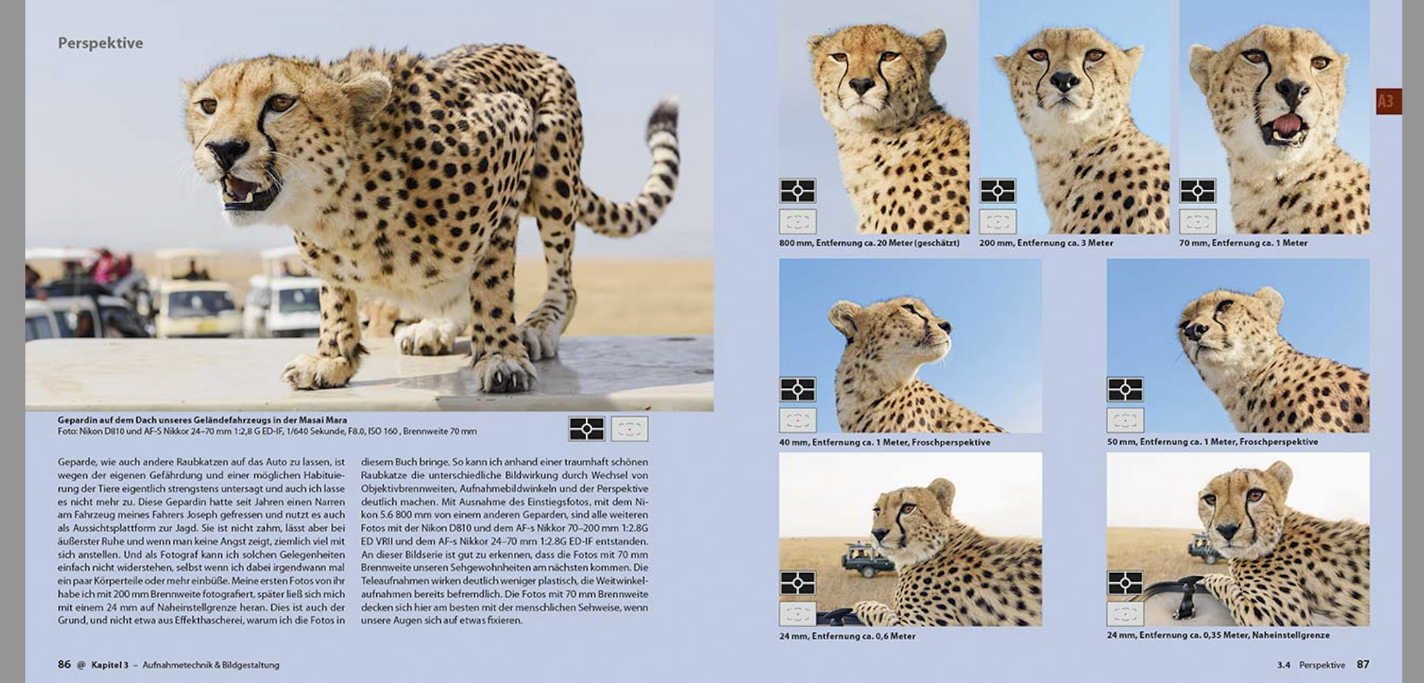 Abenteuer Safari Fotografie, demipress Verlag