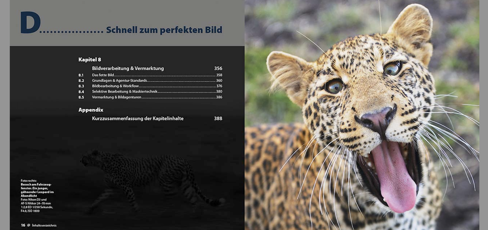 Abenteuer Safari Fotografie, demipress Verlag