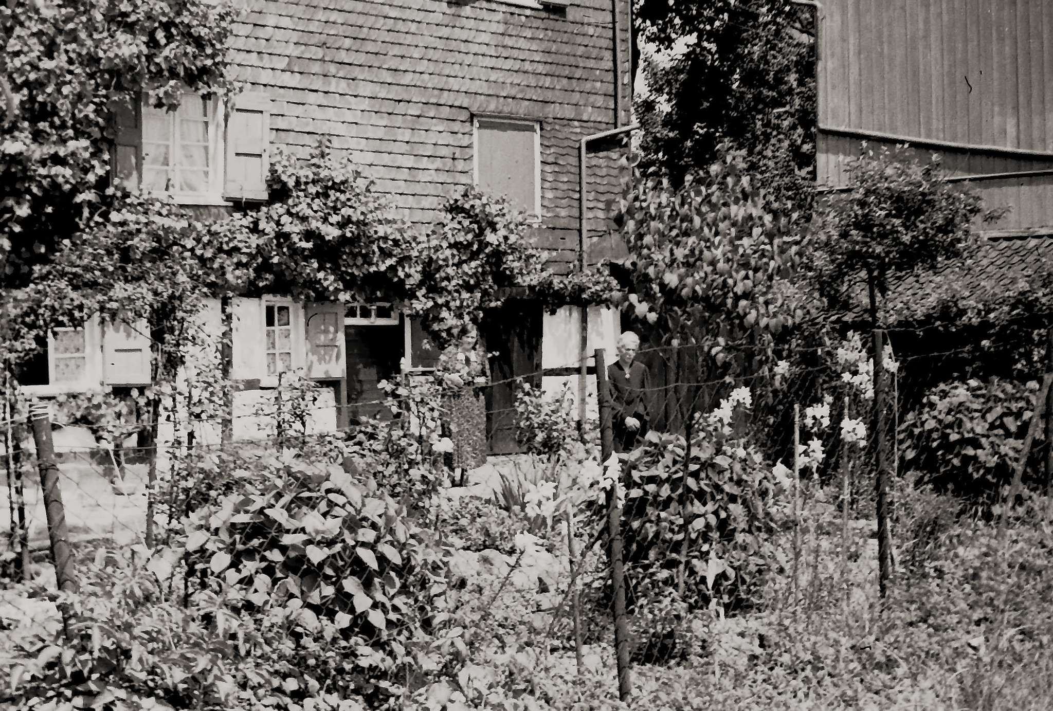 Die Gartenseite des sogenannten „ Schwarzen Hauses“ ca. 1939