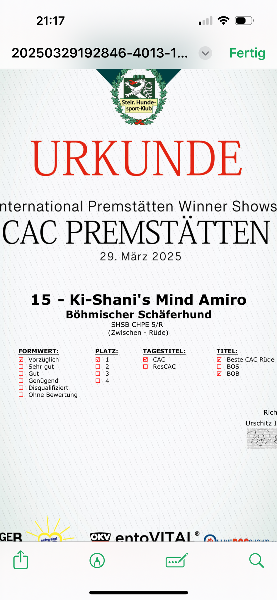 30.03.25 Erste Ausstellung - und er hat abgeräumt💪 Ich bin so stolz auf euch und freu mich riesig!!👏👏👏