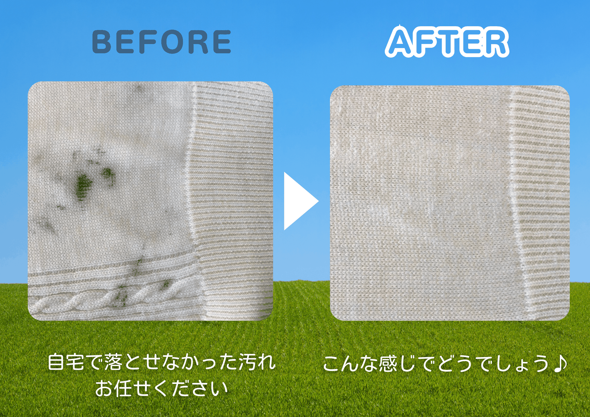 谷口ドライクリーニング店 - 谷口ドライクリーニング店【ぴっぷの身近