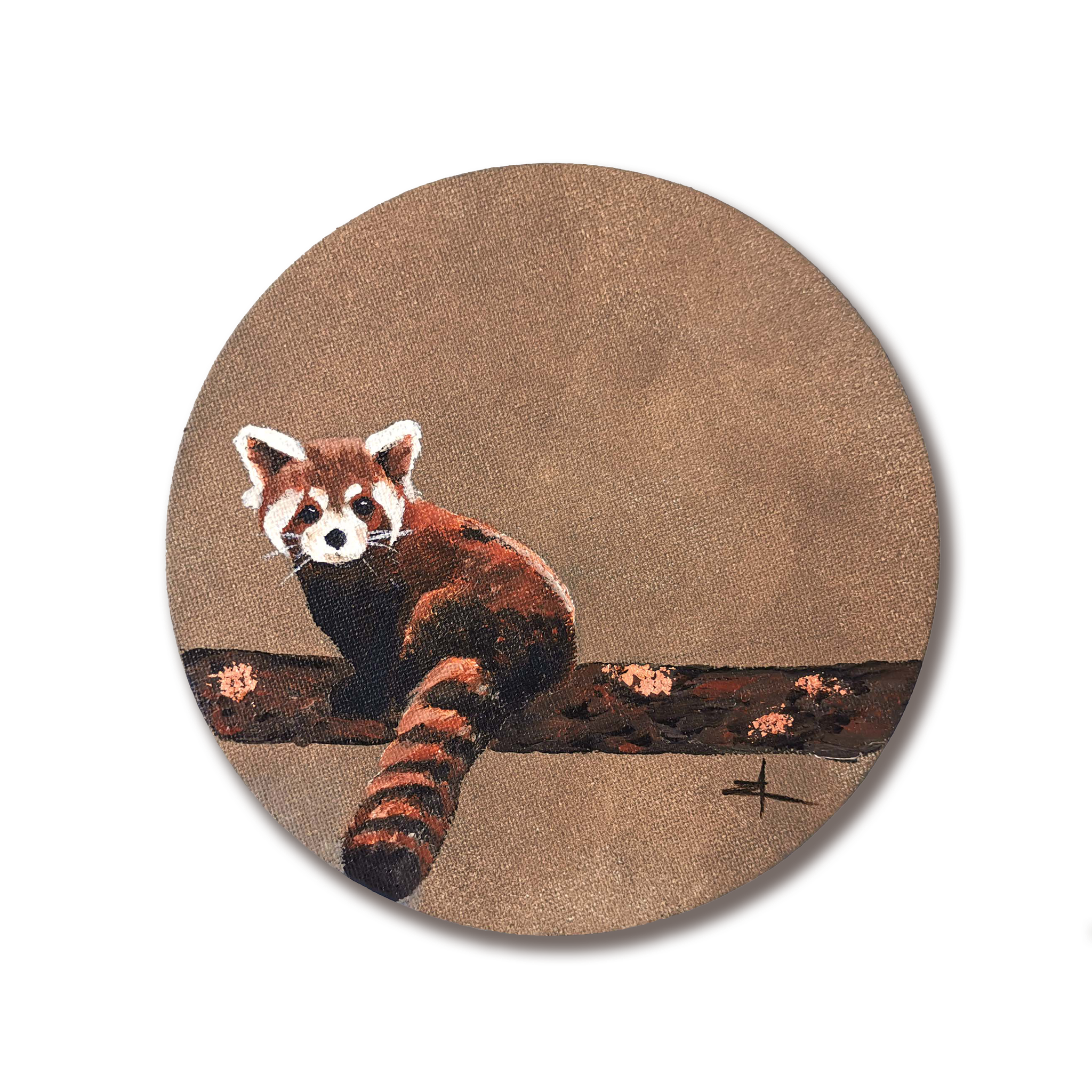 Panda-roux curieux - 18cm - 140 €