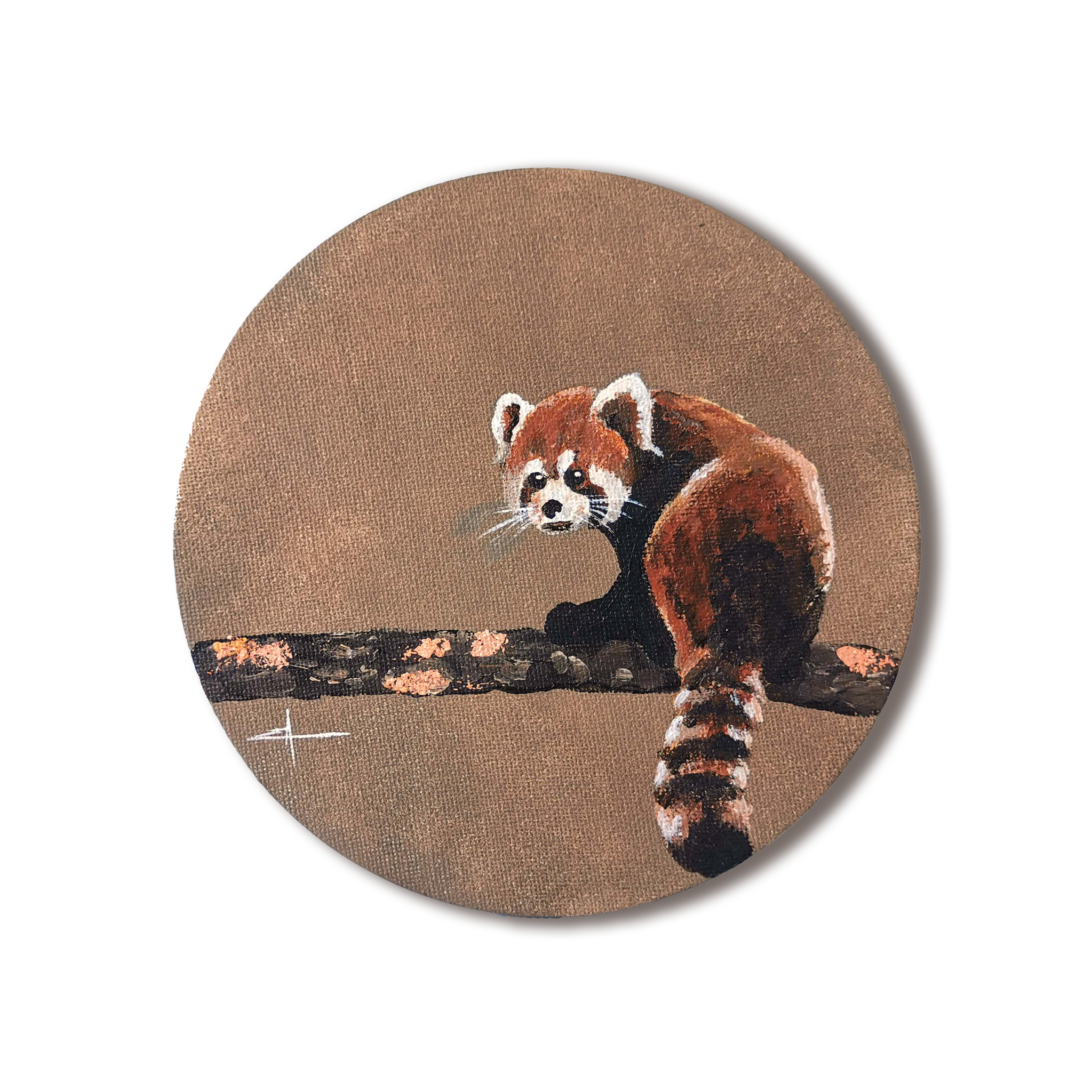 Panda-roux méfiant - 18cm - 140 €