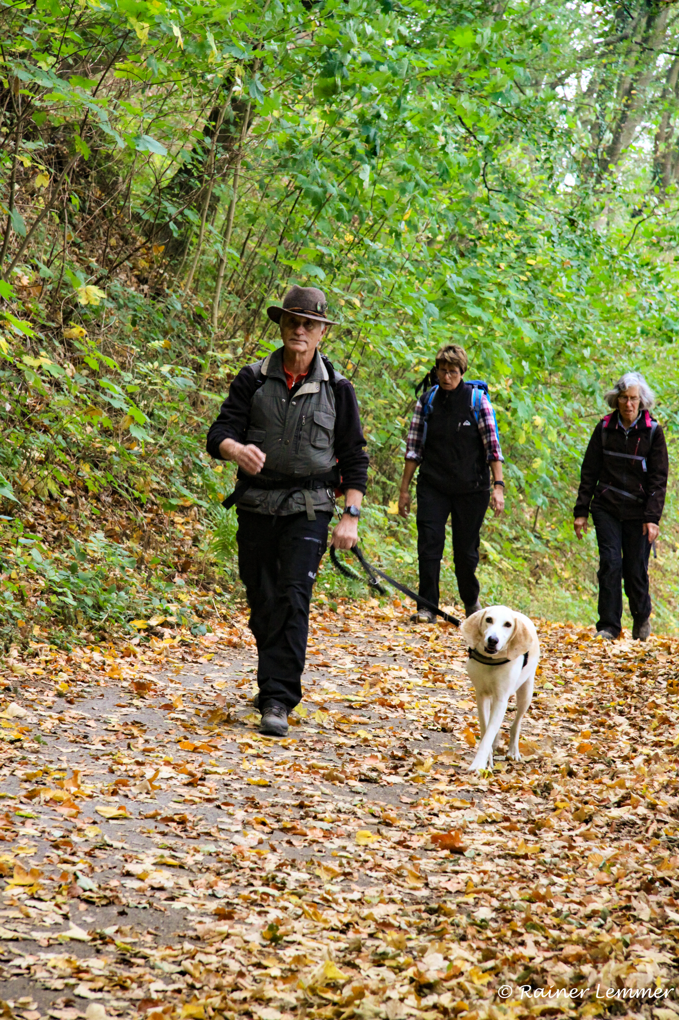 Donnerstags-Wandergruppe am Laacher See