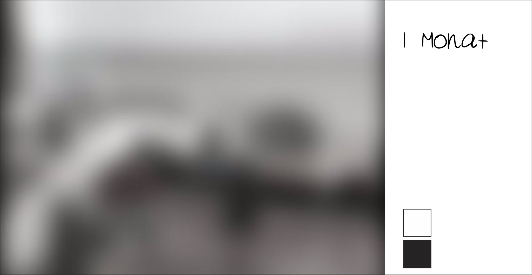 Sehen Ein Geschenk Furs Leben