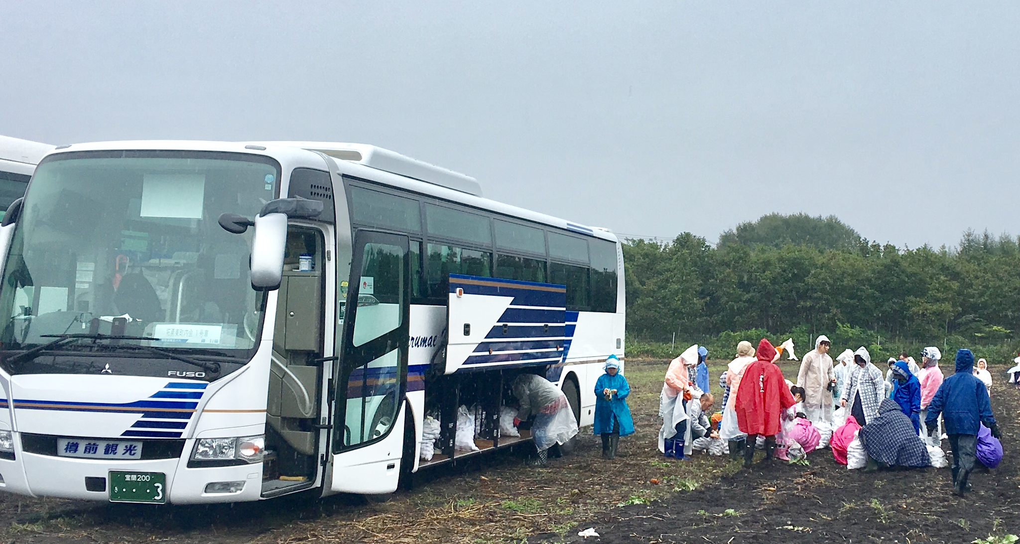 広々とした余裕のトランクルーム。