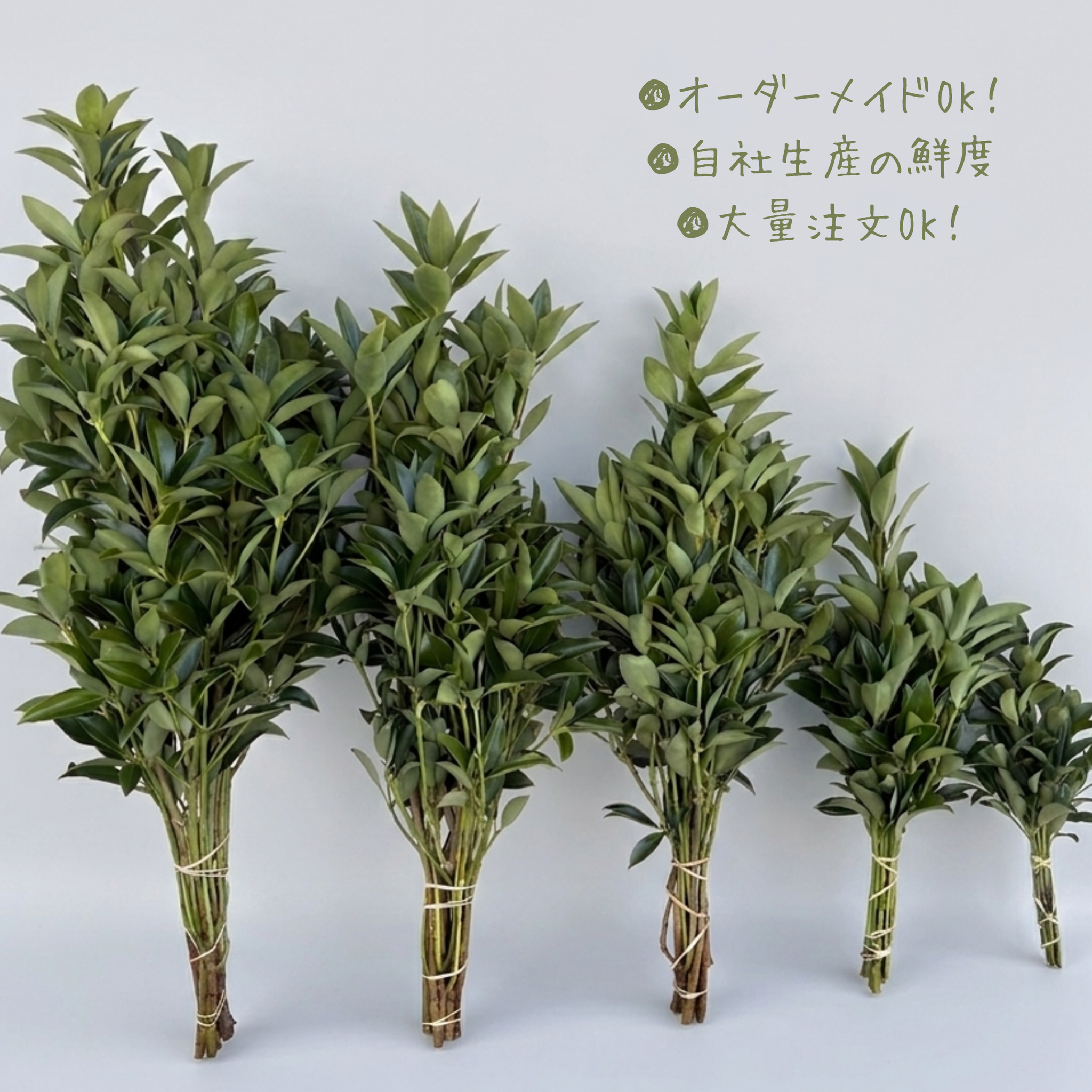 しきみオーダーメイド可能・大量注文可能