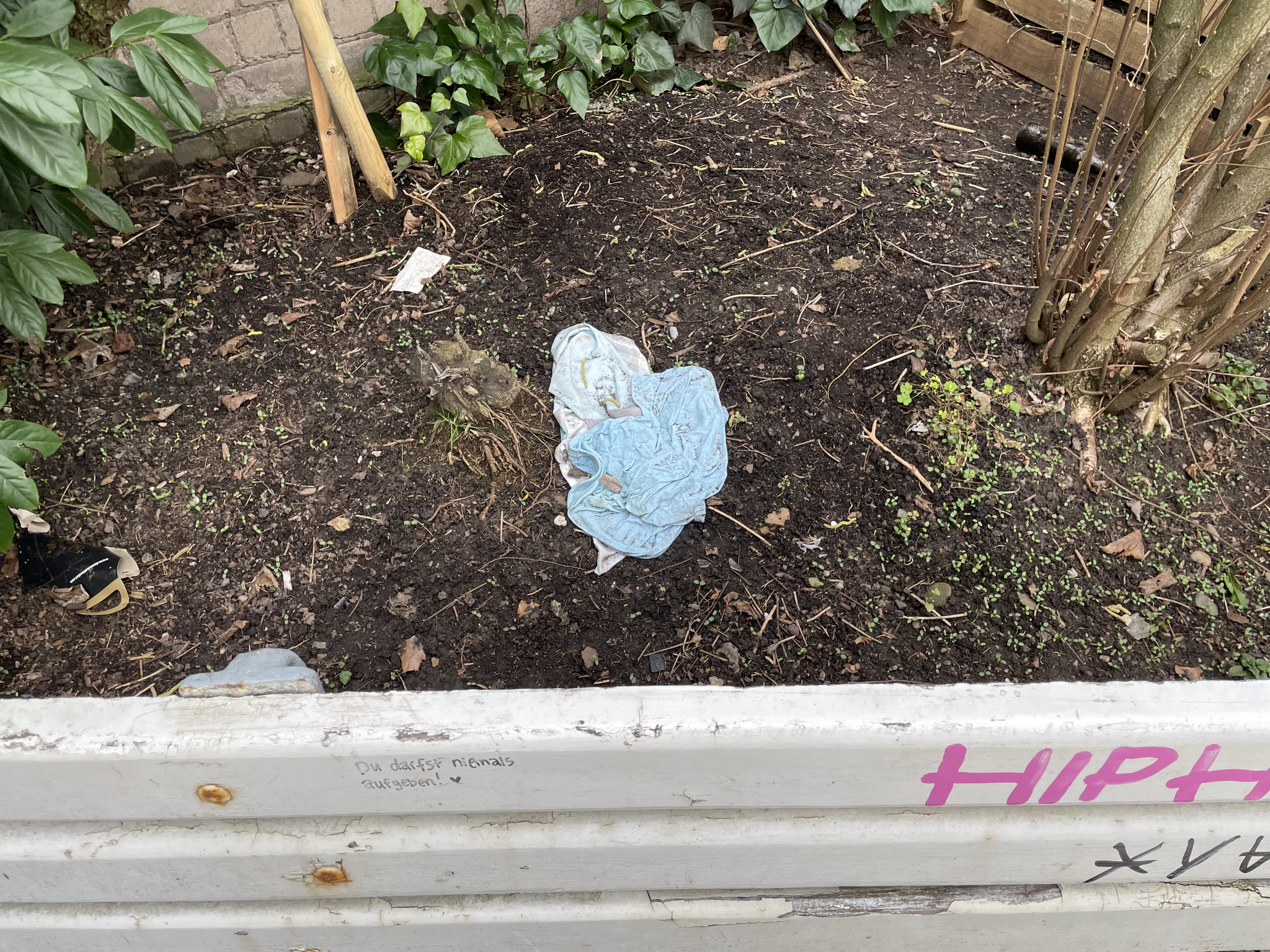 Februar 2025: Wilder Müll hinter einer Sitzbank im Vitalisgarten