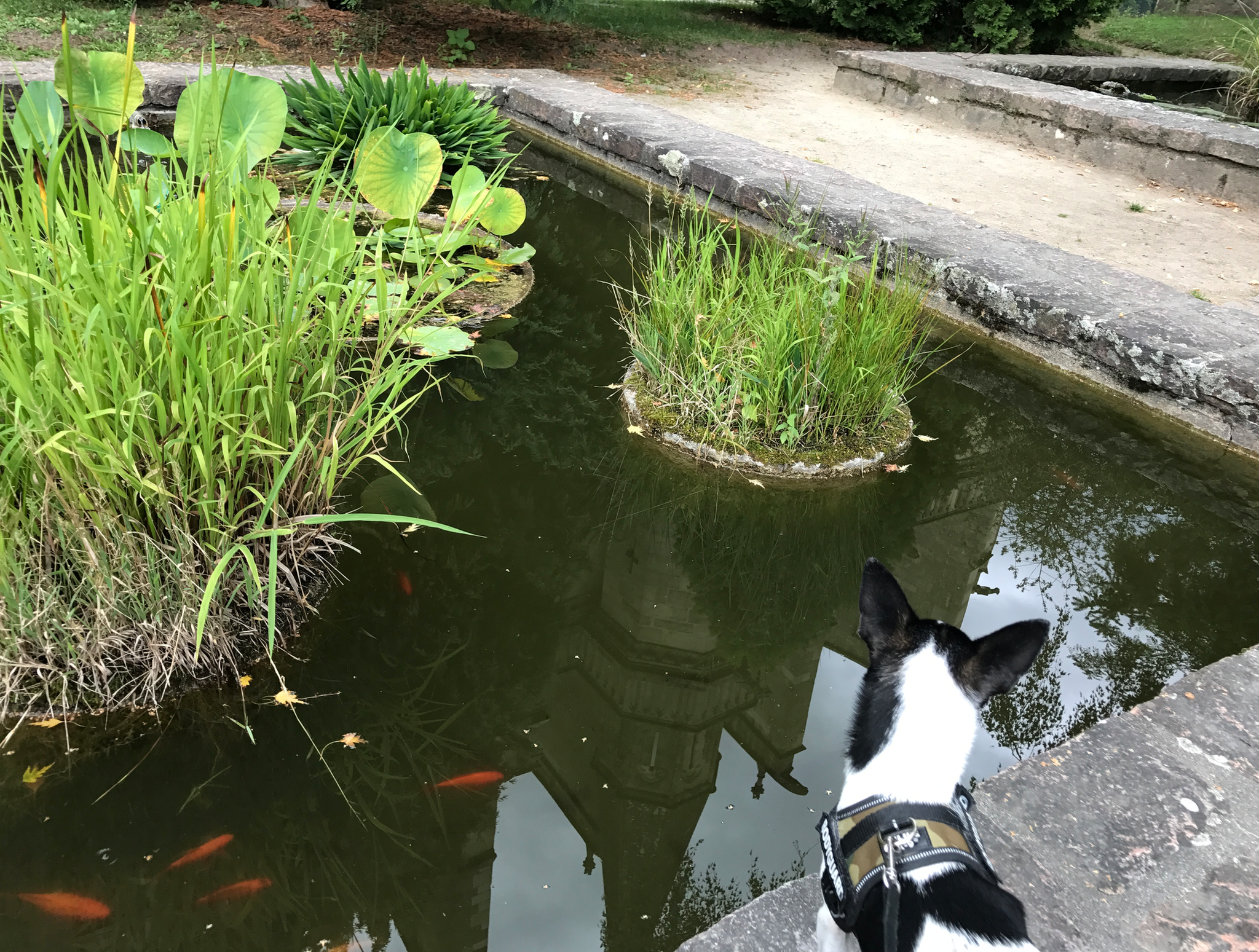 Jardin de l'évêché