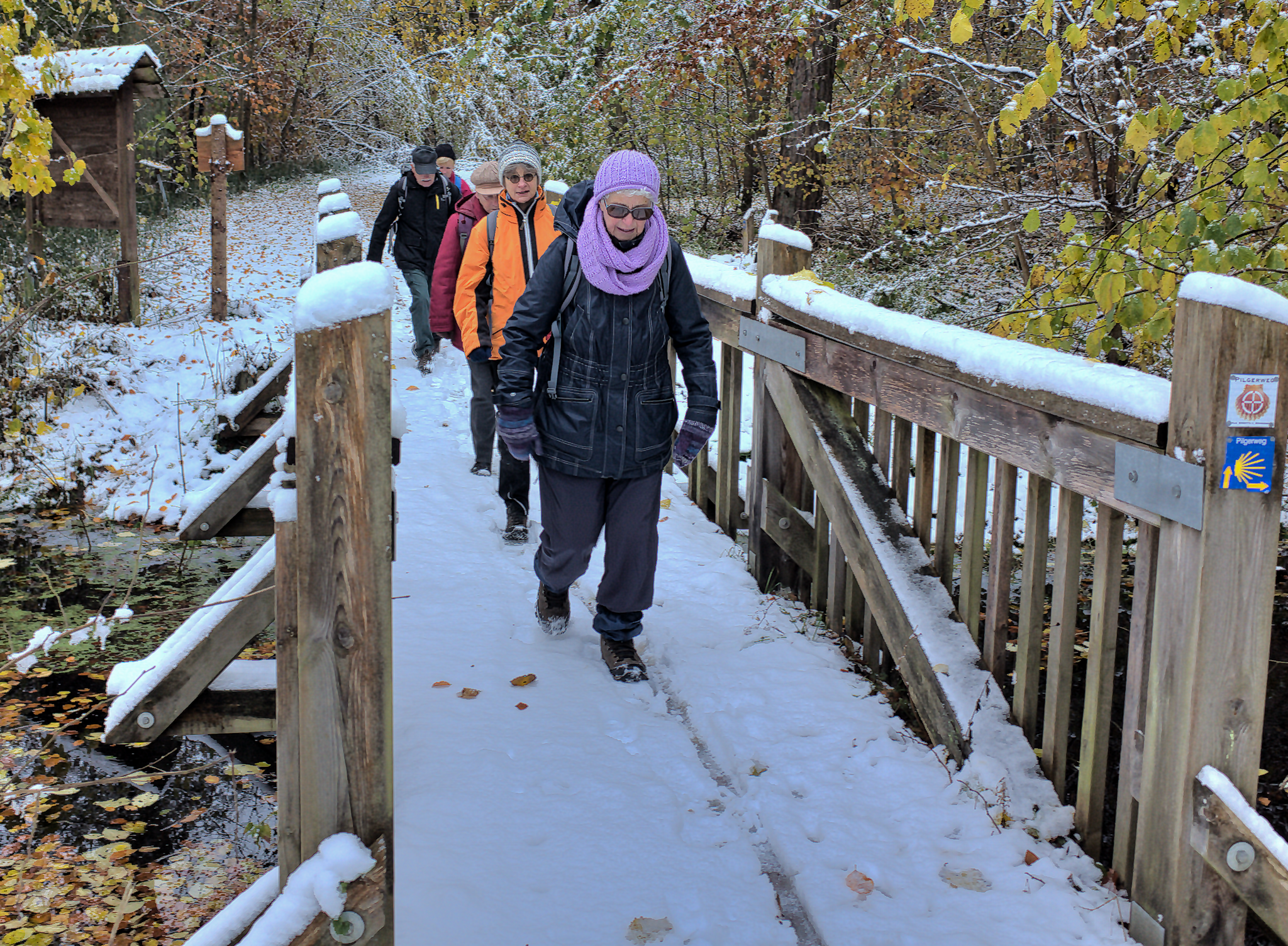 Brücke über die Warnow im Durchbruchstal am 09.11.2016