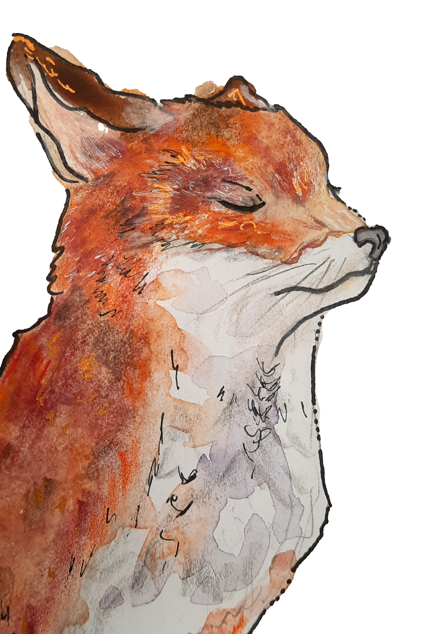 © Jasmin Schön; Fuchsstudie; 2022