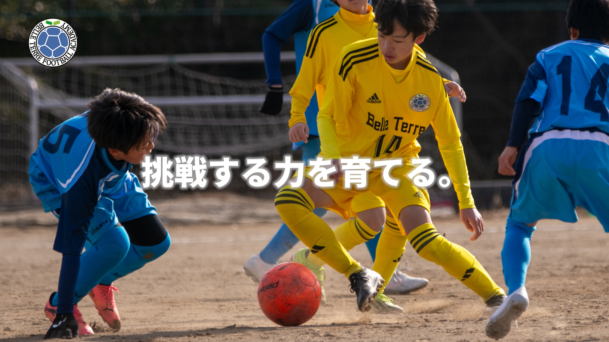 FCベルテール, 八王子, サッカークラブ, ジュニア、ジュニアユース, 育成型