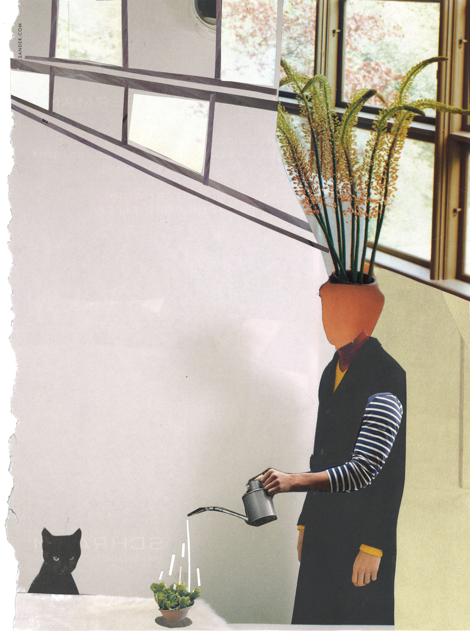 Collage by Sae Kimura