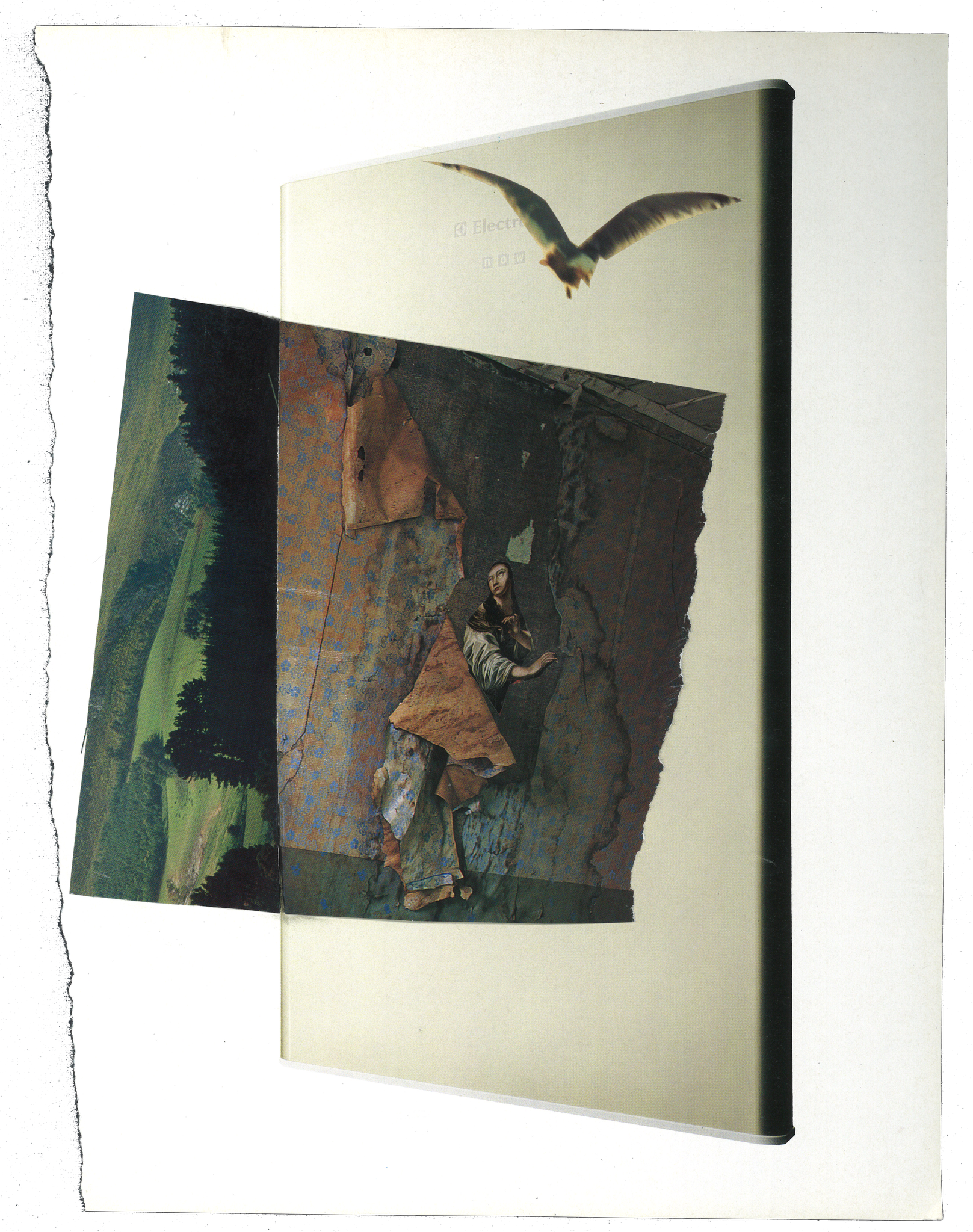 Collage by deborah harris
