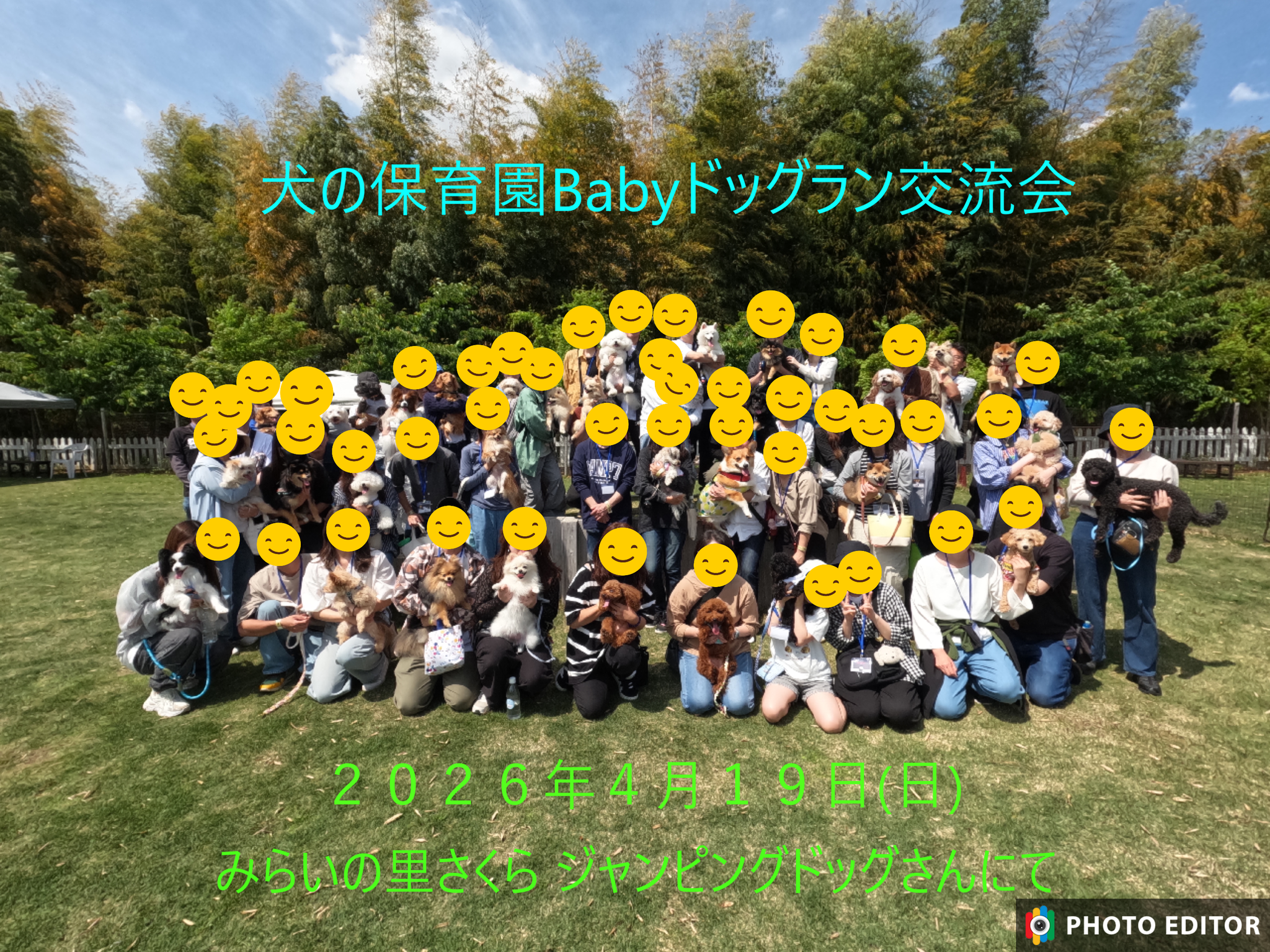 犬の保育園Baby・犬の社会化・犬のしつけ