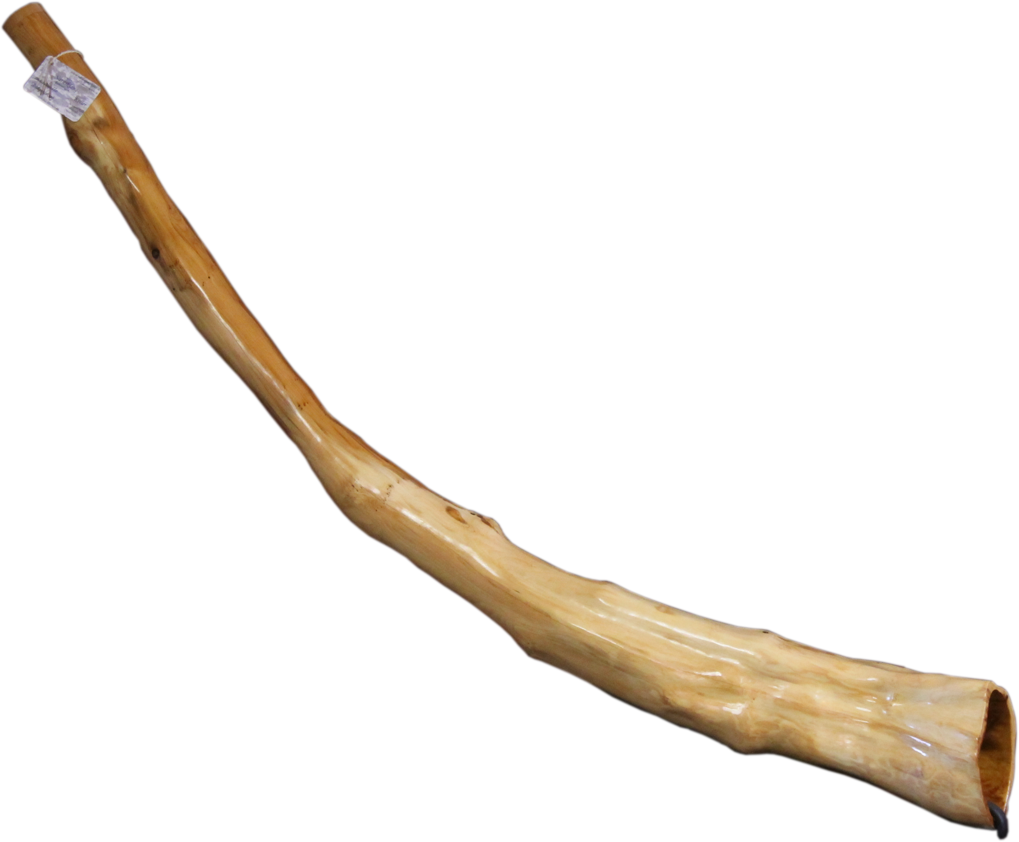 Didgeridoo
