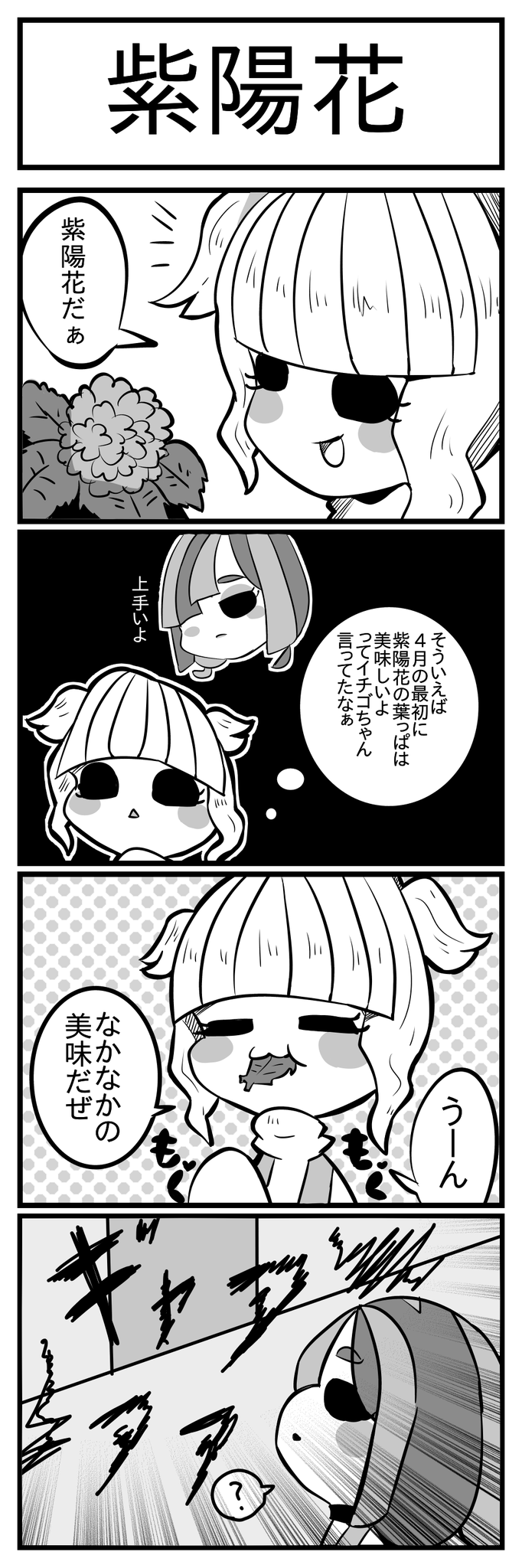 紫陽花