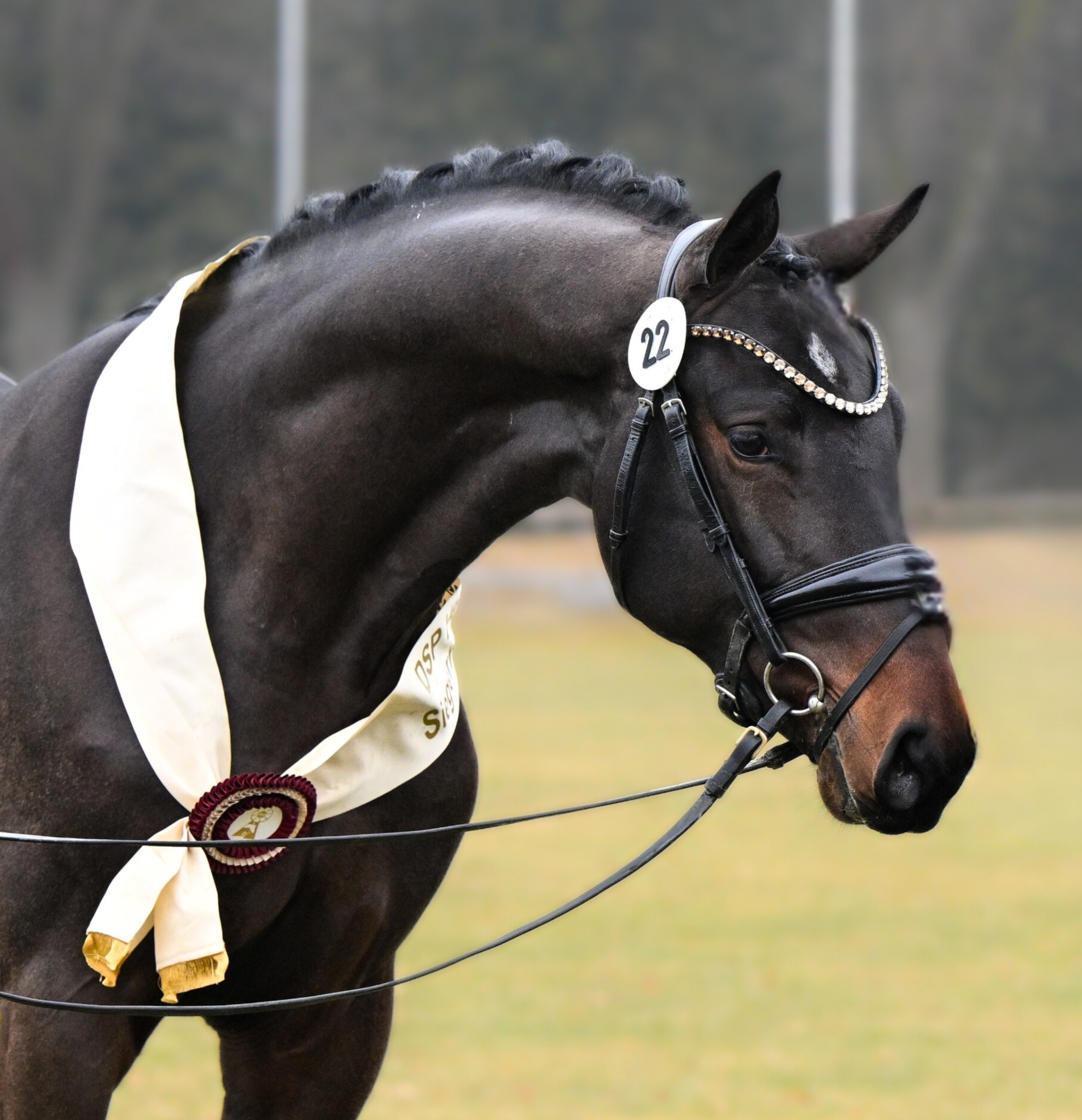 FS Heartful | Ferienhof Stücker