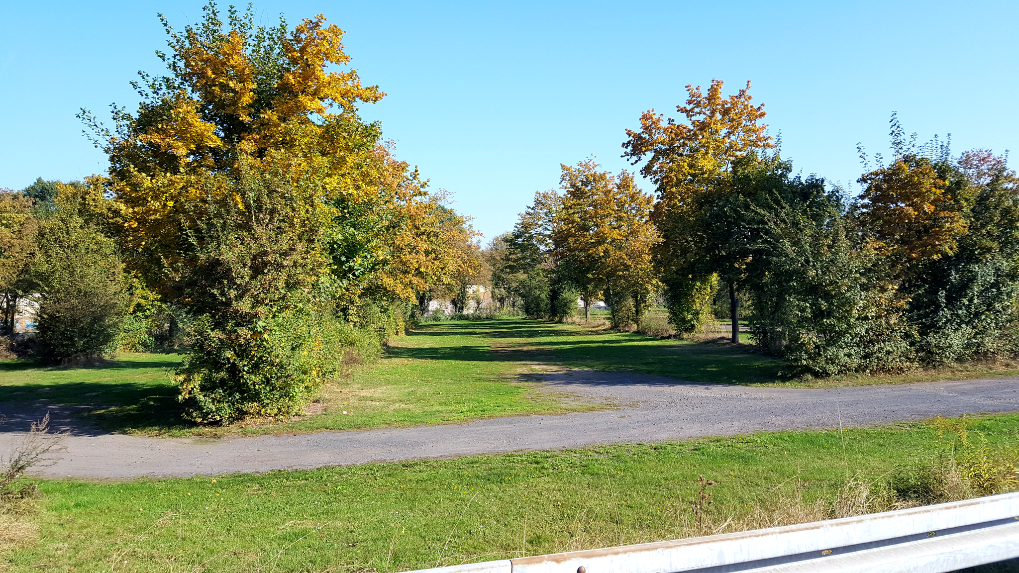 Perfekte Parkplatzsituation am Tag des Laufes: Hier nur ein Teil der vorgesehenen Parkfläche