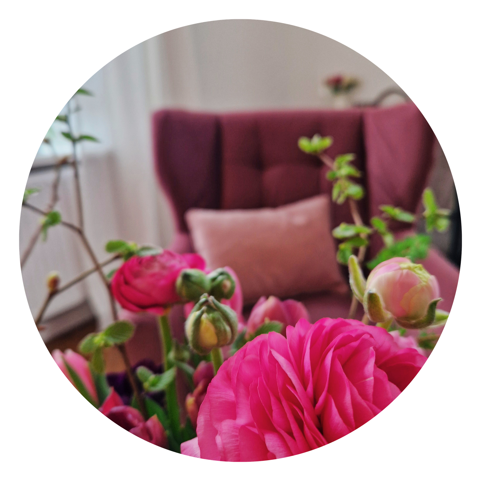 Einblick in den Therapieraum