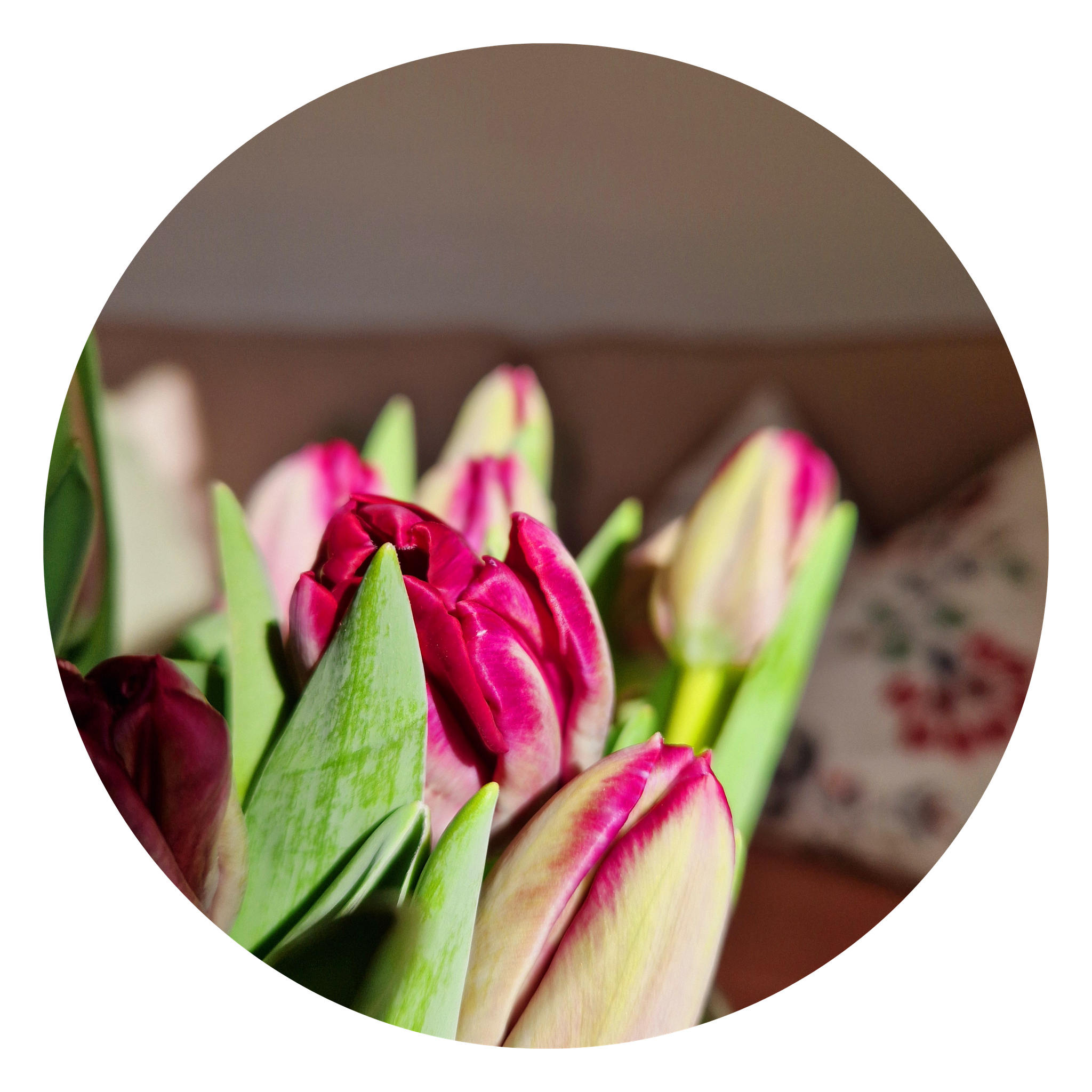 Blumen im Therapieraum