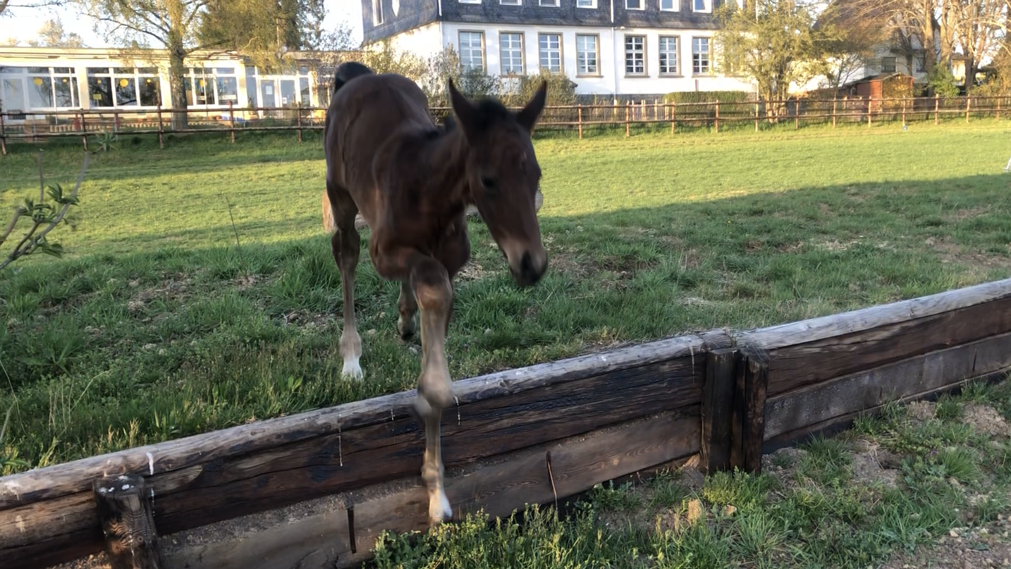 Korinth AS 2020, erste Geländeerfahrungen