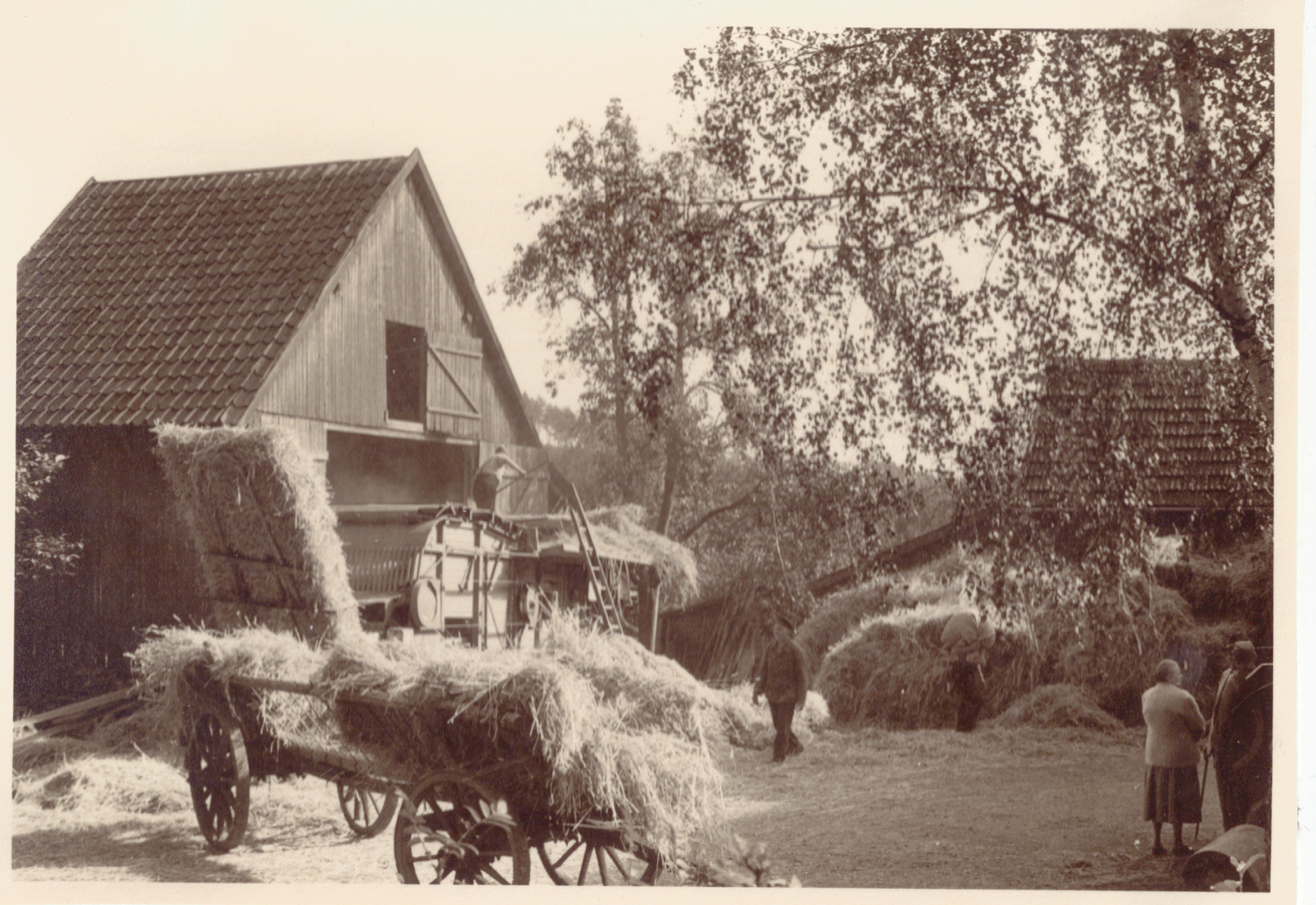 Dreschen auf dem Hof Wiggeshof Ende der 50er Jahre