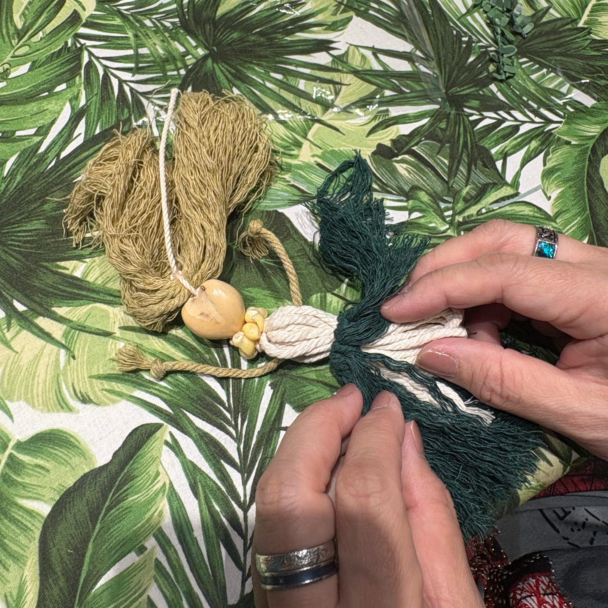 2025.11.29(土) - UkuleleShopTANTANお茶の水店