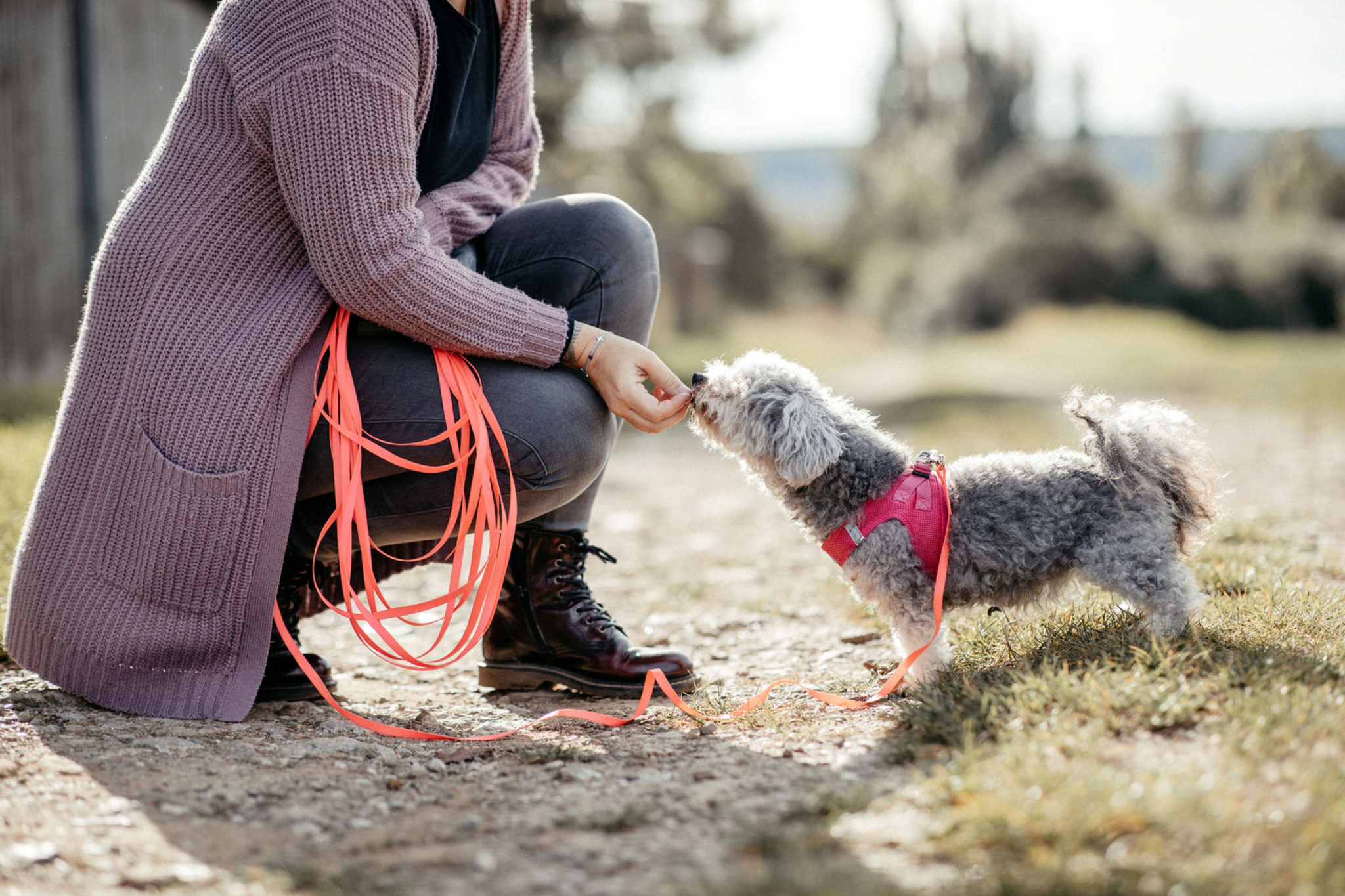 Biothan Hundeleine von Rosys Kuschelkram für Spaziergänge und Hundetraining
