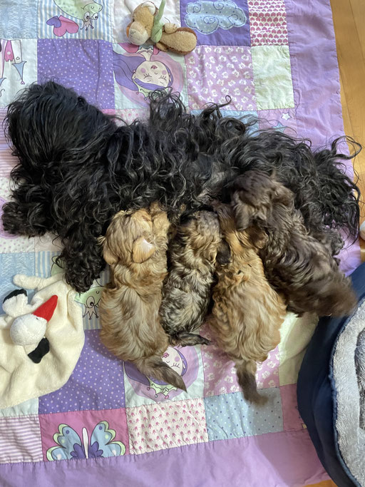 ... Mama Lotta aussaugen ... 8W