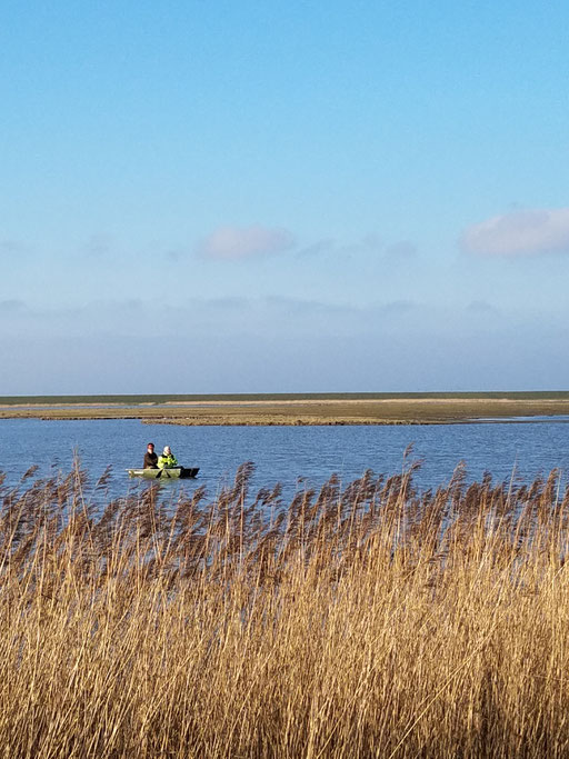 Üwi und Michael scouten die nächste Insel