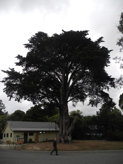 Upper Hutt Camping