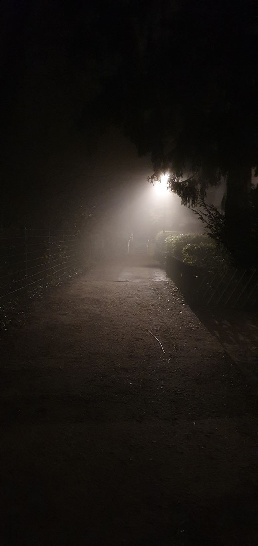 Heimweg